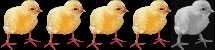 4 Chicks LG